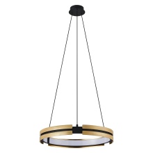 Thesis 206937A - LED Chandelier / Lustre DEL