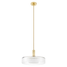Thesis 207406A - 1L Convertible Pendant Light / Luminaire suspendu convertible 1L