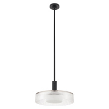 Thesis 207407A - 1L Convertible Pendant Light / Luminaire suspendu convertible 1L