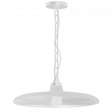 Dainolite QTN-181P-MW - 1LT Pendant, MW