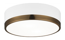 Matteo Lighting M14302WHAG - Trydor Ceiling Mount