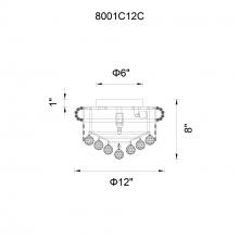 CWI-8001C12C-31.jpg