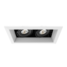 Eurofase TE162LED-30-2-02 - MuLT, 15w, Trm, 2LT , 30k, Wht/blk