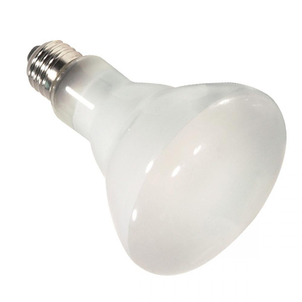 65 Watt; Halogen; BR30; Frosted; 2000 Average rated hours; 900 Lumens; Medium base; 130 Volt