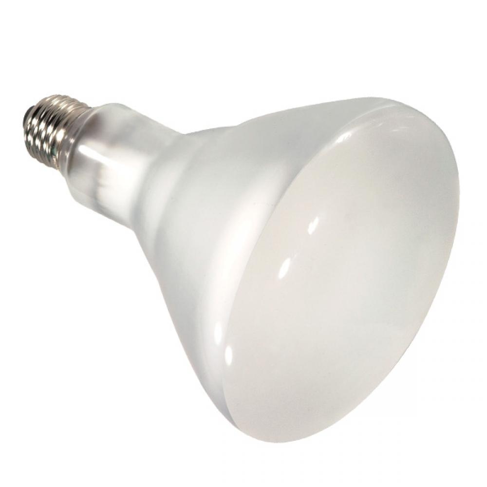 65 Watt; Halogen; BR40; Frosted; 2000 Average rated hours; 900 Lumens; Medium base; 130 Volt