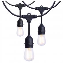 Satco Products Inc. S8020R1 - 24 Foot LED String Light; 12-S14 Lamps; 2700K CCT; Black; 120 Volt