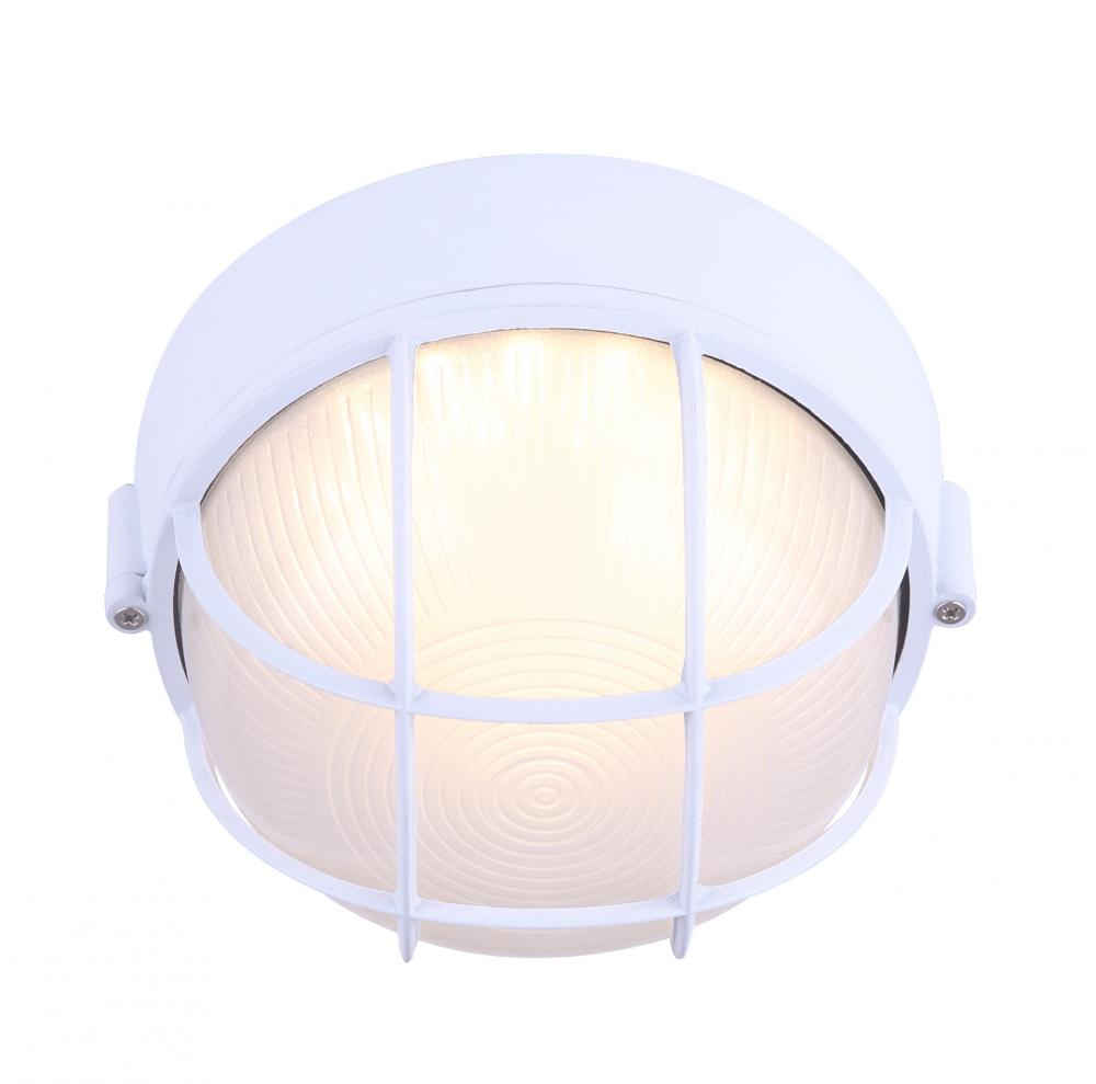 White LED Outdoor Light, 11.7W, 819 Lumens