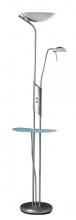Kendal TC4038-SS - One Light Satin Steel Floor Lamp