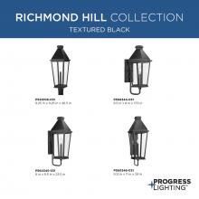 PROG_Richmond_Hill_Textured_Black_GeneralLit.jpg