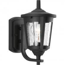 Progress P6073-31 - P6073-31 1-100W MED WALL LANTERN