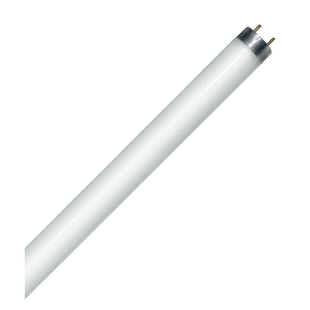 Fluorescent LINEAR T8 48IN Med Bipin G5 Base 32W 4100K Rapid Start (RS) Standard