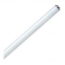 Standard Products 64251 - Fluorescent LINEAR T12 47.78IN Med Bipin Base 40W 4100K Program Start(PS) and Rapid Start(RS)