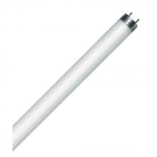 Standard Products 65847 - Fluorescent LINEAR T8 48IN Med Bipin G13 Base 32W  Rapid Start (RS) Standard