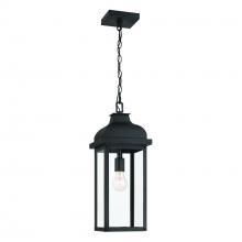 Artcraft AC8185BK - Outdoor Pendant