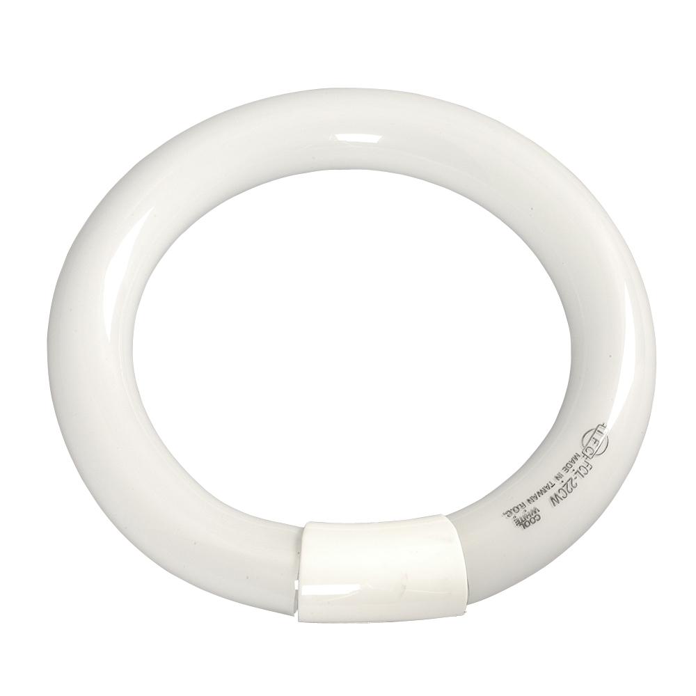 Fluorescent Circular Tube