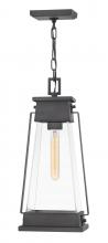 Hinkley Canada 1138AC - Medium Hanging Lantern