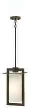 Hinkley Canada 2922BZ - Medium Hanging Lantern