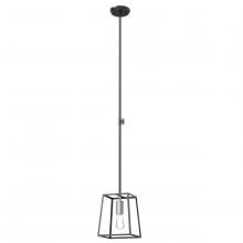 DVI DVP29021MF+EB - Cape Breton Pendant