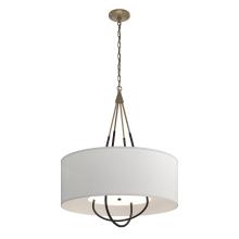 Hubbardton Forge - Canada 104230-SKT-84-10-SJ2811 - Loop Pendant