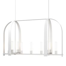 Hubbardton Forge - Canada 131075-SKT-MULT-02-FD0462 - Triomphe 9-Light Linear Pendant