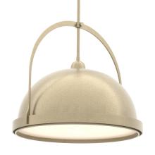 Hubbardton Forge - Canada 137462-SKT-MULT-84-84 - Atlas Large Pendant