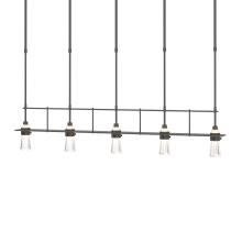 Hubbardton Forge - Canada 137725-SKT-SHRT-20-ZM0343 - Erlenmeyer 5 Light Pendant