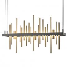 Hubbardton Forge - Canada 139725-LED-STND-20-84 - Cityscape LED Pendant