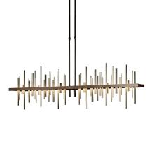 Hubbardton Forge - Canada 139726-LED-LONG-05-84 - Cityscape Large LED Pendant