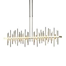 Hubbardton Forge - Canada 139726-LED-LONG-86-84 - Cityscape Large LED Pendant