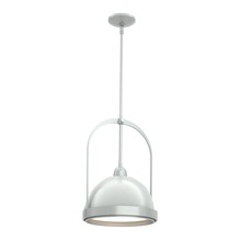 Hubbardton Forge - Canada 187462-SKT-MULT-82-82 - Atlas Small Pendant