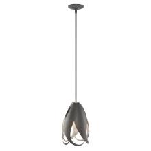 Hubbardton Forge - Canada 188770-SKT-MULT-10 - Pental Mini Pendant