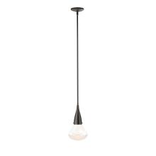 Hubbardton Forge - Canada 188902-SKT-MULT-14-ZM0676 - Fritz Large Pendant