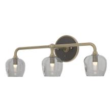 Hubbardton Forge - Canada 201342-SKT-84-14-YL0709 - Ume 3-Light Curved Arm Bath Sconce