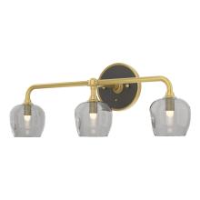 Hubbardton Forge - Canada 201342-SKT-86-14-YL0709 - Ume 3-Light Curved Arm Bath Sconce