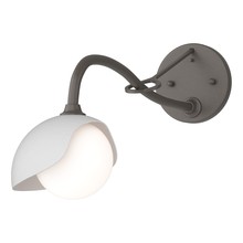 Hubbardton Forge - Canada 201376-SKT-07-02-GG0711 - Brooklyn 1-Light Single Shade Long-Arm Sconce