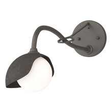 Hubbardton Forge - Canada 201376-SKT-07-07-GG0711 - Brooklyn 1-Light Single Shade Long-Arm Sconce