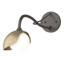 Hubbardton Forge - Canada 201376-SKT-14-84-GG0711 - Brooklyn 1-Light Single Shade Long-Arm Sconce