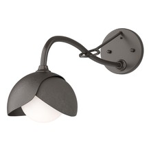 Hubbardton Forge - Canada 201377-SKT-14-07-GG0711 - Brooklyn 1-Light Double Shade Long-Arm Sconce