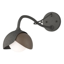 Hubbardton Forge - Canada 201377-SKT-20-05-GG0711 - Brooklyn 1-Light Double Shade Long-Arm Sconce