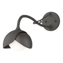 Hubbardton Forge - Canada 201377-SKT-20-14-GG0711 - Brooklyn 1-Light Double Shade Long-Arm Sconce