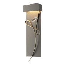 Hubbardton Forge - Canada 205440-LED-20-84-CR - Rhapsody LED Sconce