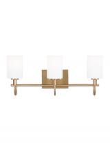 Visual Comfort & Co. Studio Collection 4457103-848 - Oak Moore Three Light Wall / Bath