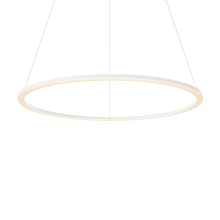 Dals RGPD24-CC-WH - 24in Circle pendant, 5CCT