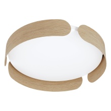 Eglo Canada 205421A - LED Flush Mount / Plafonnier DEL