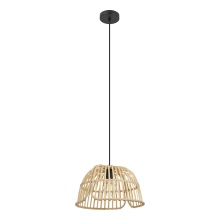 Eglo Canada 43873A - 1L Pendant Light / Luminaire suspendu 1L