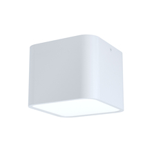 Eglo Canada 99281A - 1L Flush Mount / Plafonnier 1L