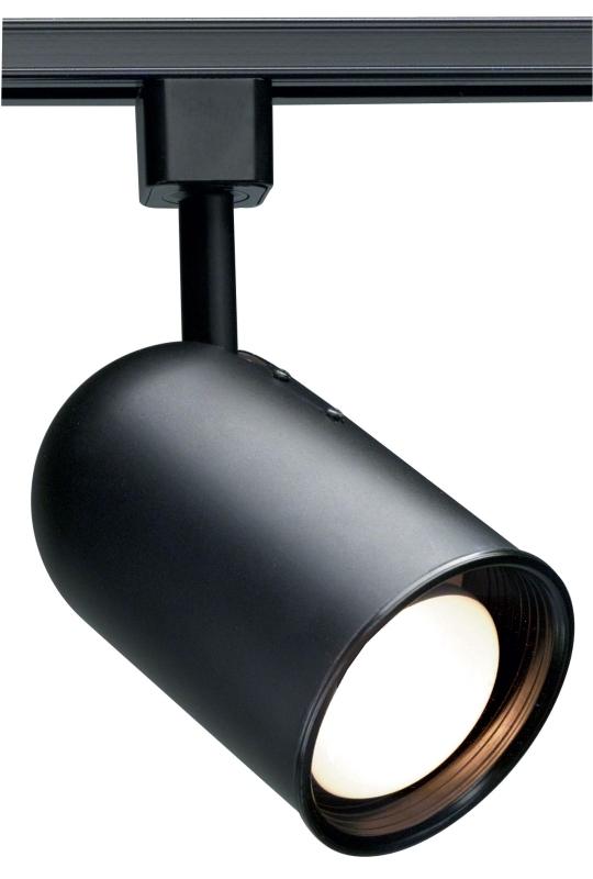 1 Light - R30 - Track Head - Bullet Cylinder - Black Finish