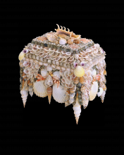 Currey 1251 - Boardwalk Natural Shell Jewelry Box